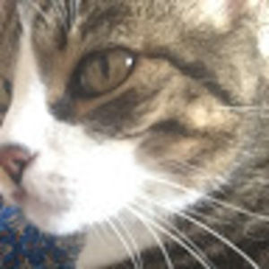 Meet your Posher, Kendell